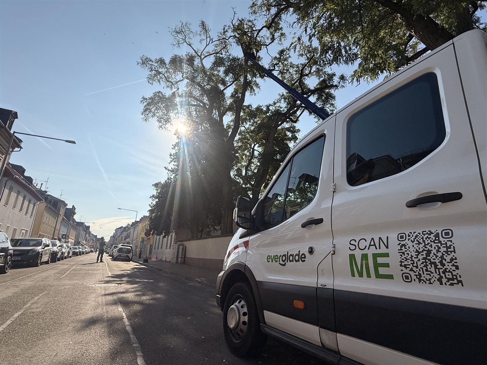 Firmenwagen der Everglade GmbH an einer Stadtstraße, dahinter reicht ein Hubsteiger in die Krone eines großen Baums
