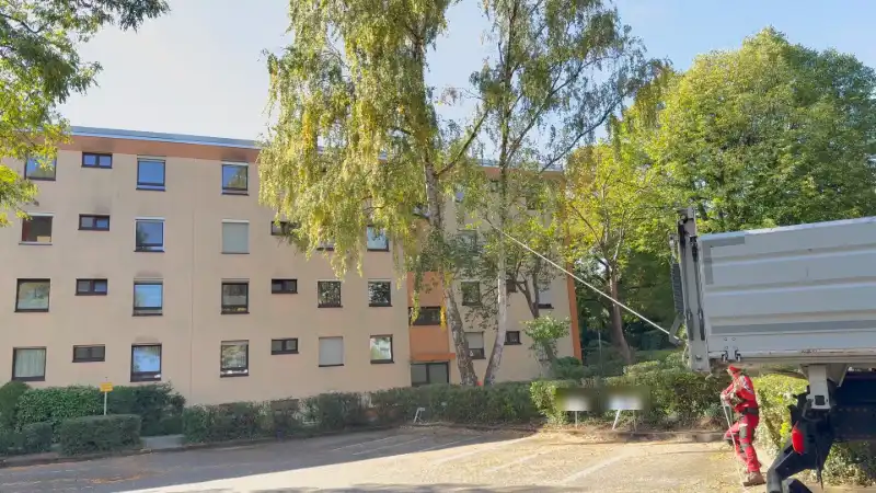 Standbild vom Parkplatz aus: Birke vor dem Wohnhaus, rechts hält ein Kollege das Zugseil. Mit dem Regler lässt sich der Fall Bild für Bild ansehen.