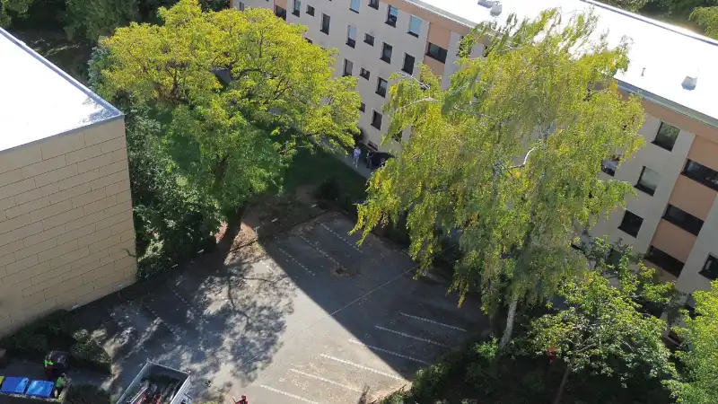 Standbild aus der Drohne: die Birke von oben zwischen Wohnhaus und freier Parkfläche, zeitgleich zum Bild vom Parkplatz