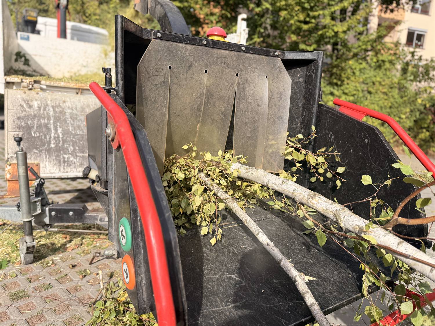 Nahaufnahme vom Einzug des Häckslers mit Birkenästen