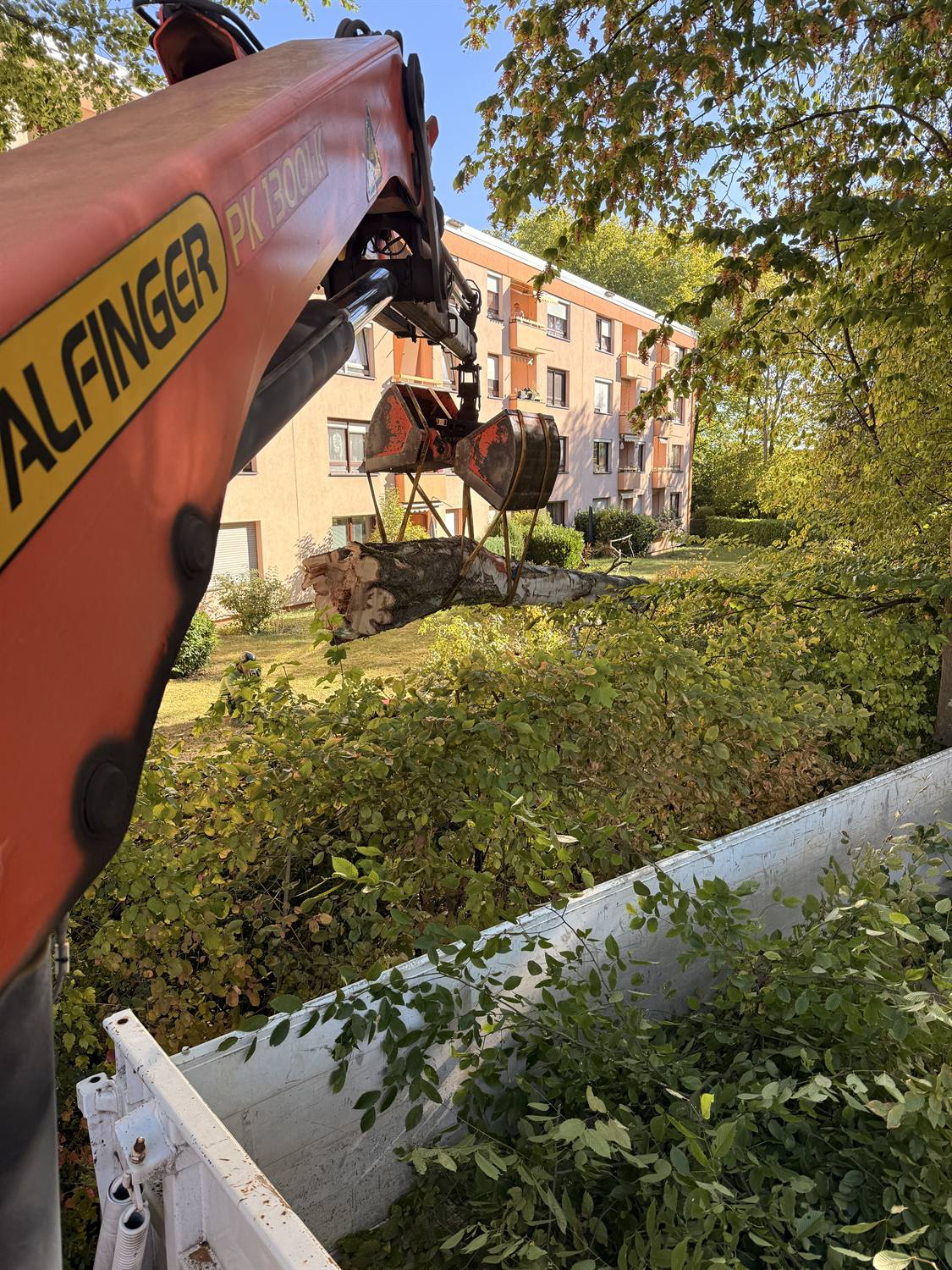 Roter Kranausleger mit Holzgreifer über einer Hecke, im Hintergrund ein Wohnhaus