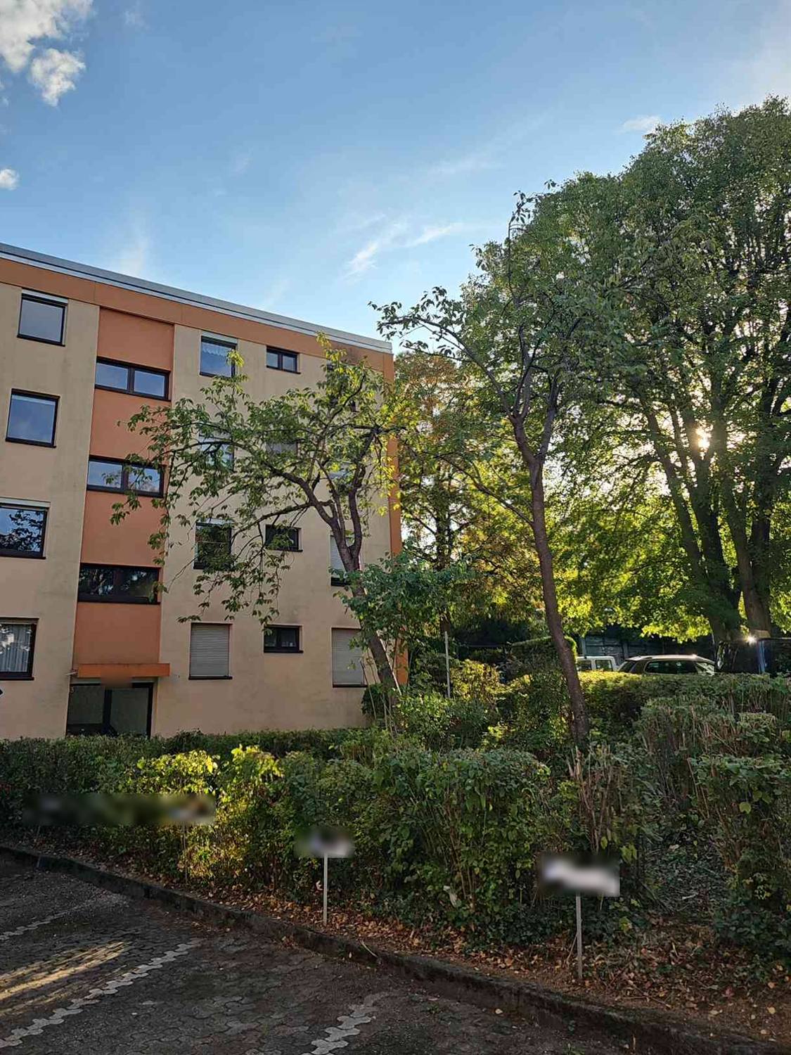 Nachher: Wohnhaus mit Hecke und Stellplätzen, die Birke ist weg