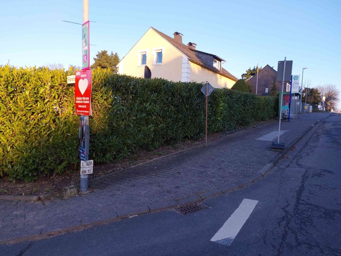 Vorher: dichte Kirschlorbeerhecke am Gehweg, davor die Bushaltestelle