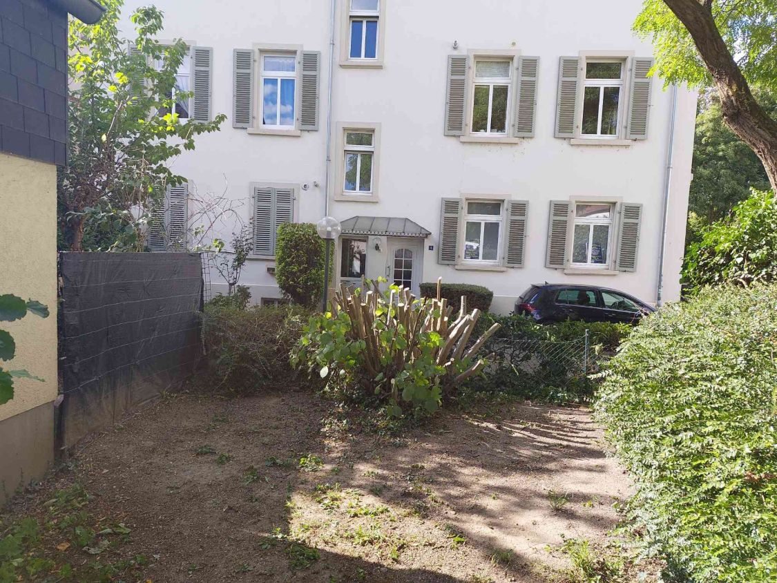 Aufgeräumter Hof nach dem Rückschnitt, die Hasel ist kräftig zurückgeschnitten