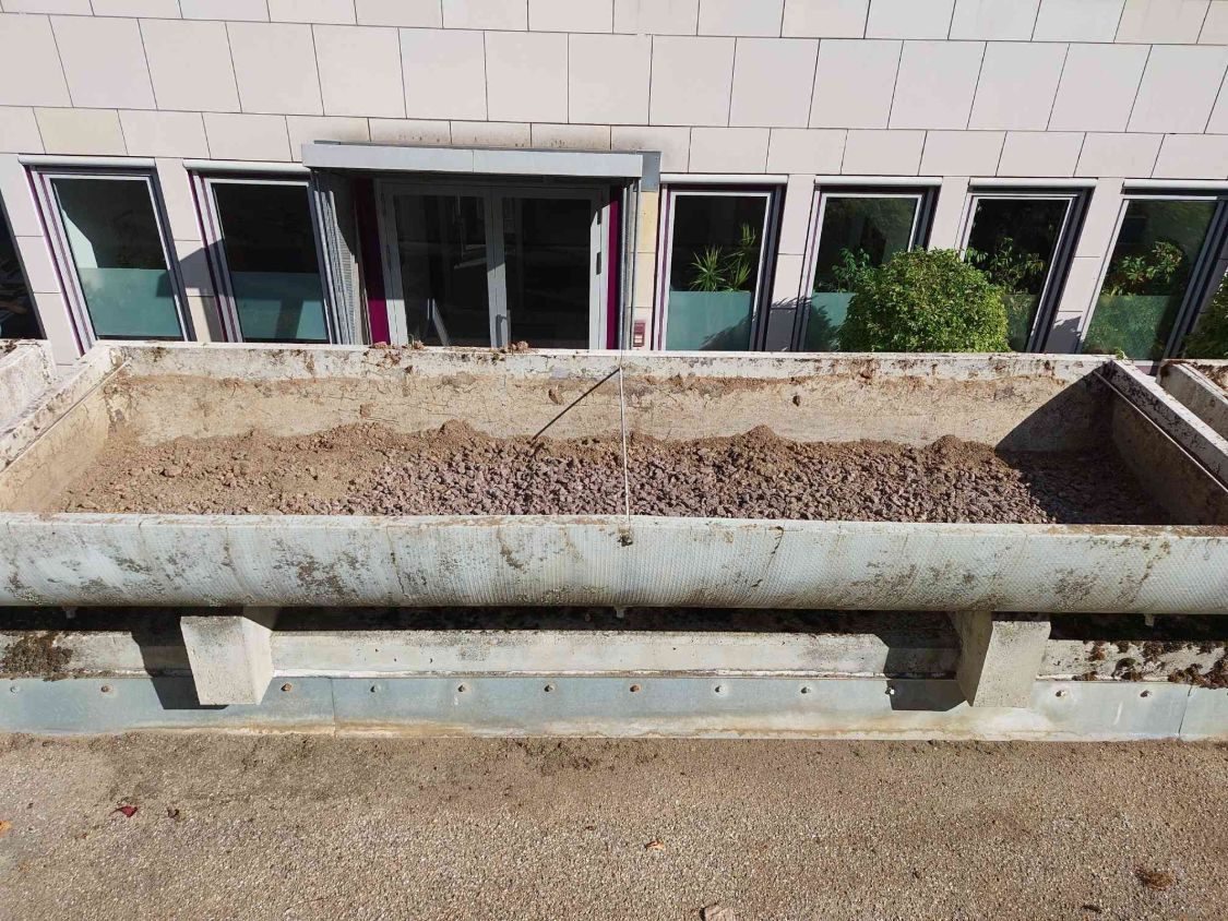 Ausgeräumter Pflanzkübel mit Resten der alten Drainage aus Lava und Erde