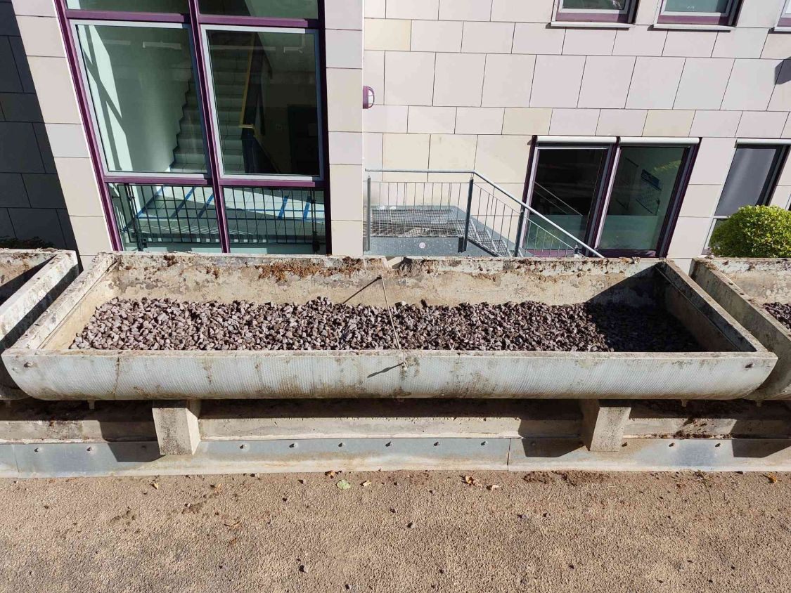 Pflanzkübel mit neuer Drainageschicht aus rotbrauner Lavakörnung