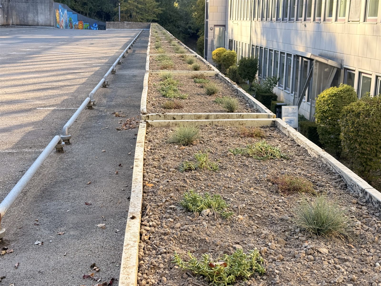 Die fertig bepflanzten Kübel ziehen sich am Parkplatz entlang, rechts das Gebäude der Kreisverwaltung