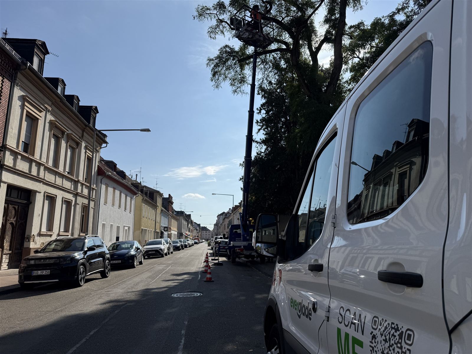 Einsatz an einer Wohnstraße: Firmenwagen und Hubsteiger am Baum, die Straße ist mit Leitkegeln abgesichert